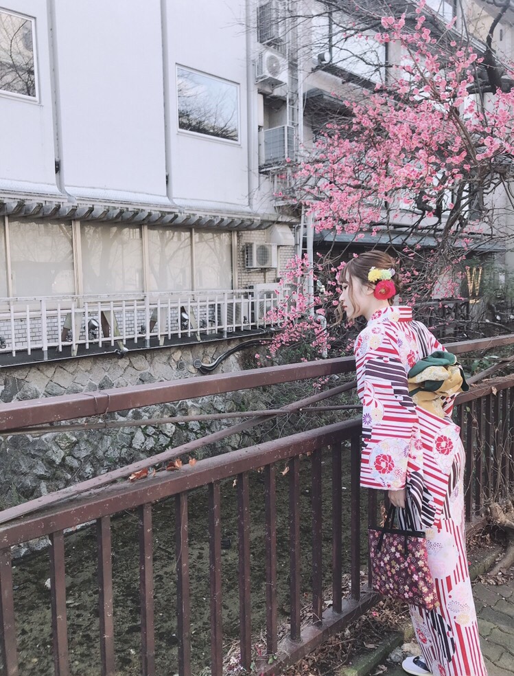 京都でお花見はいかがでしょうか♪