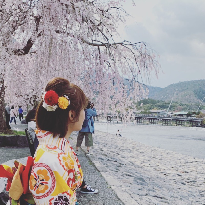 まだまだ桜満開続いていますよ♪
