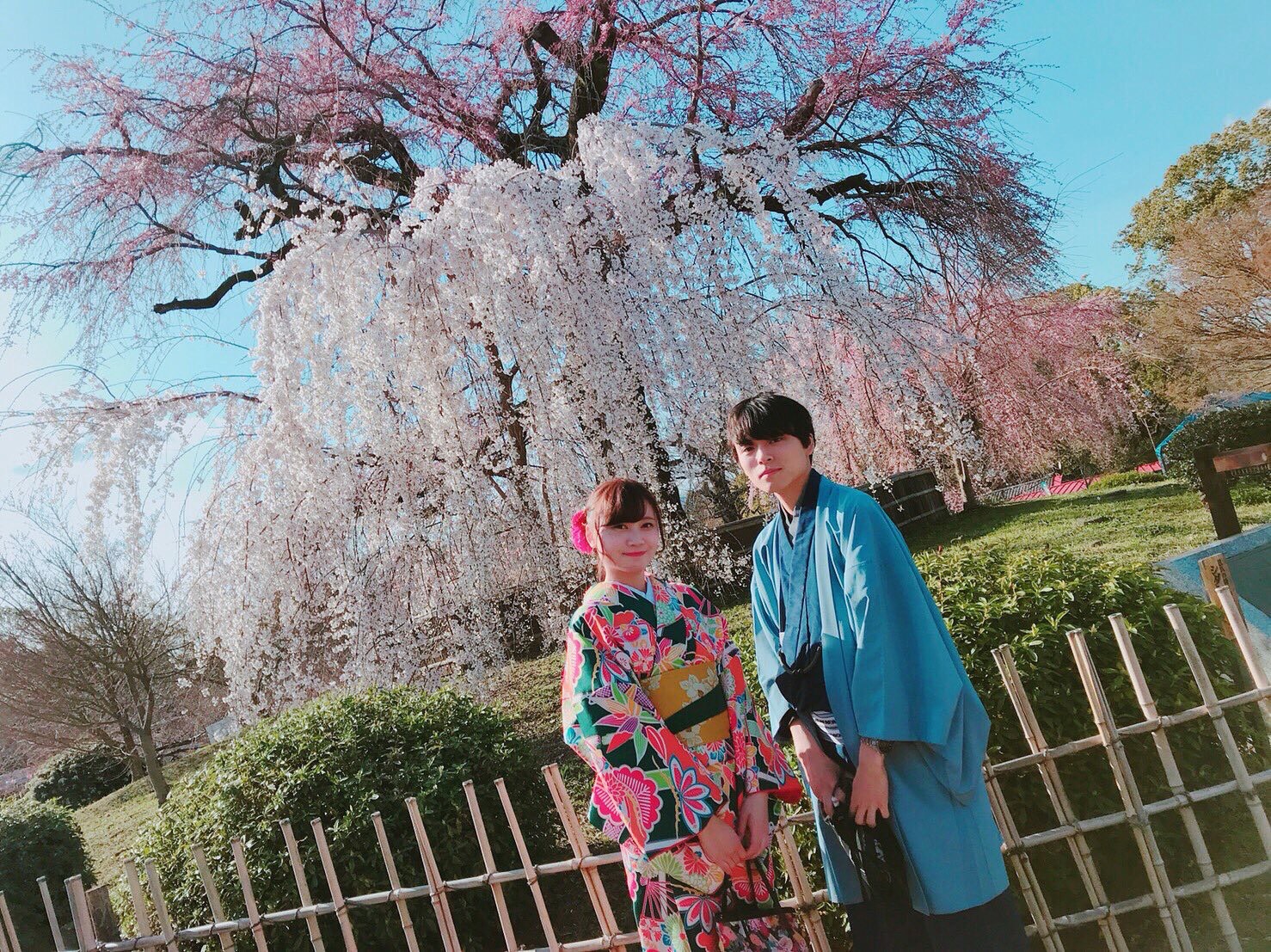 もうお花見は堪能されましたか♪