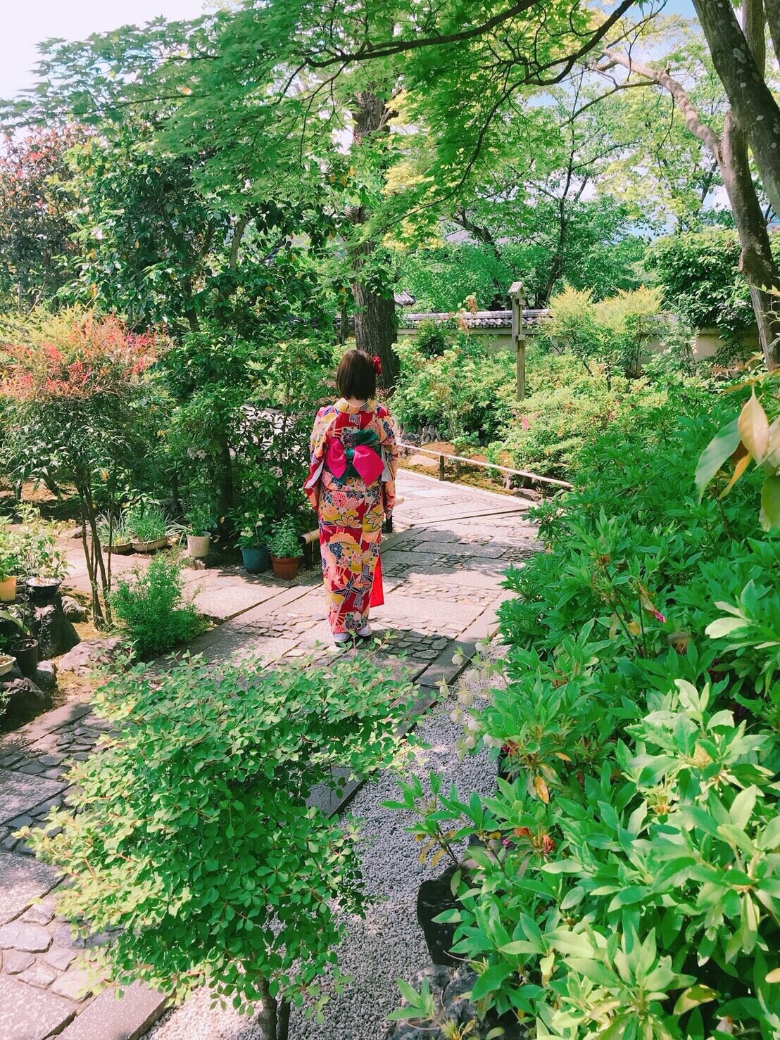 新緑の季節