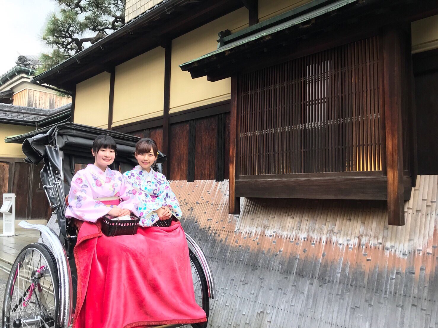 八坂の新スポットです！