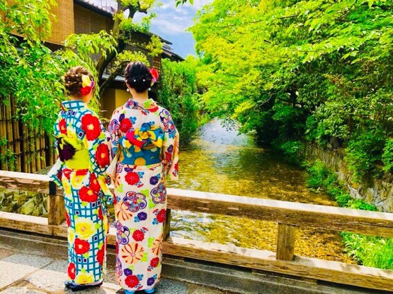 京都の藤の名所