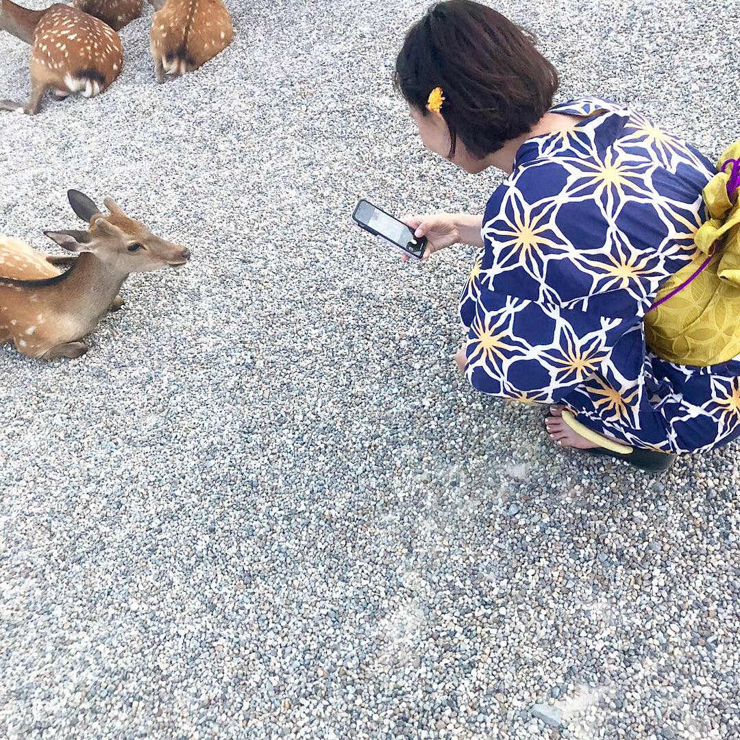 奈良観光へも♪