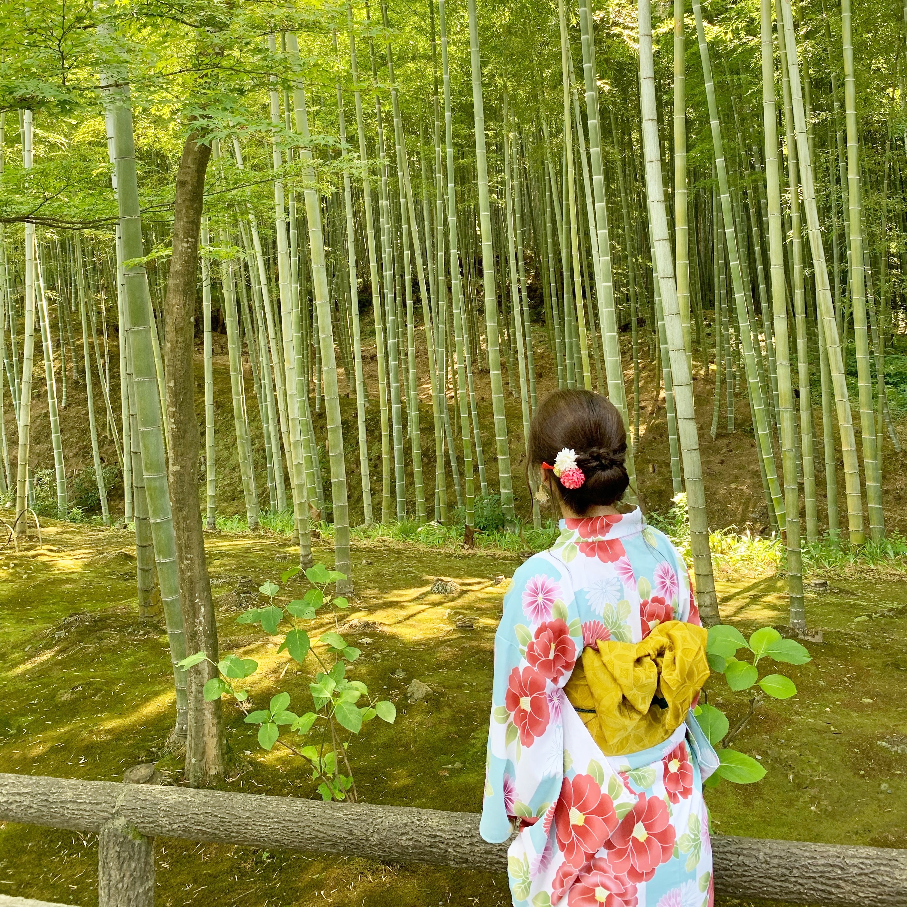 京都で一番の竹林で