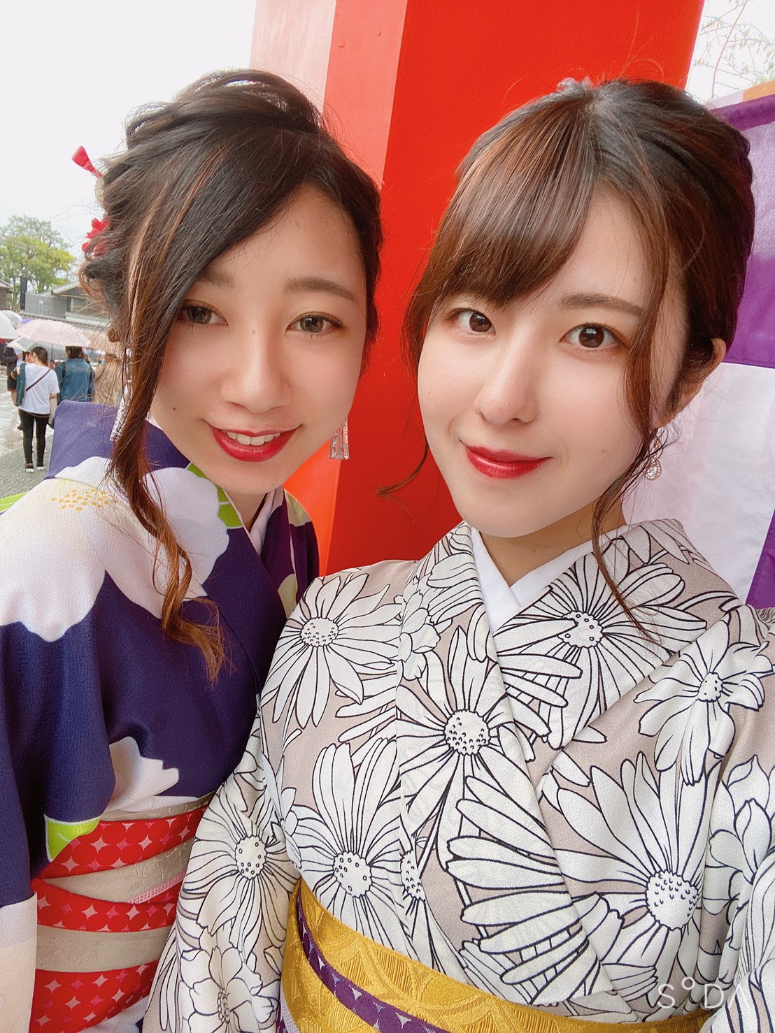 美しくヽ(´▽｀)/