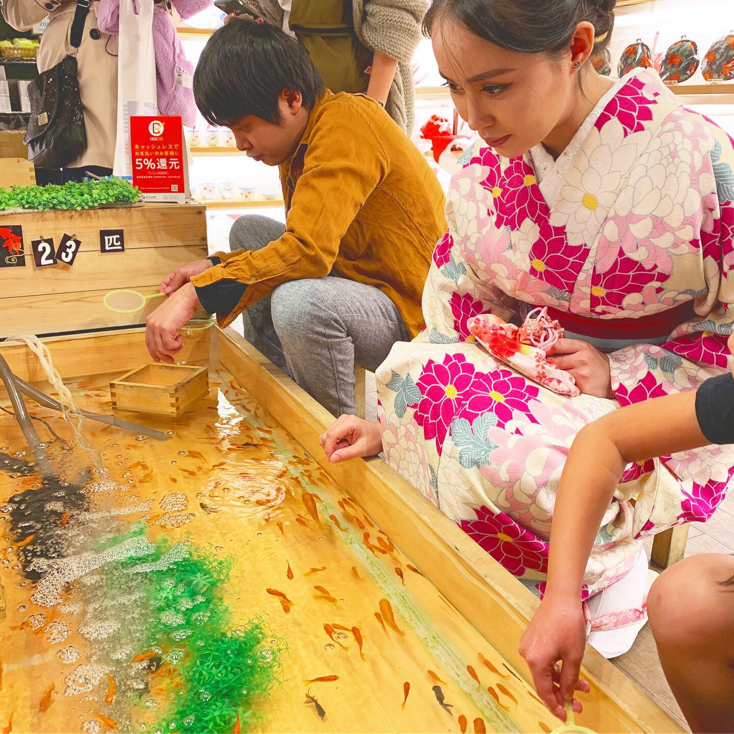 浅草で金魚すくい(*´꒳`*)