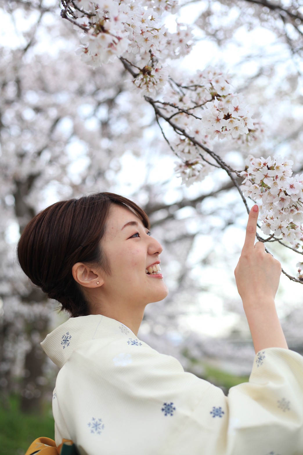 桜満開です✿